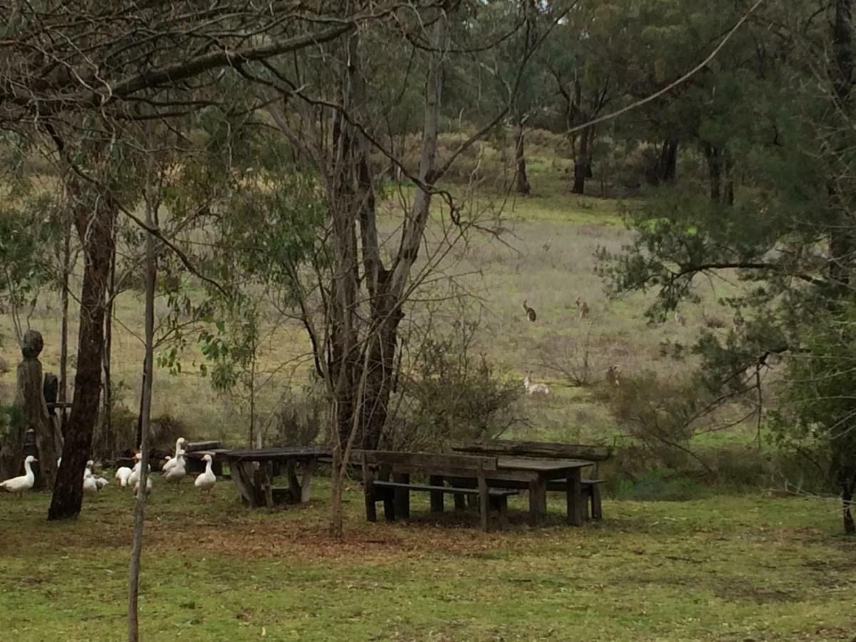 Wildwood Guesthouse Mudgee Kültér fotó