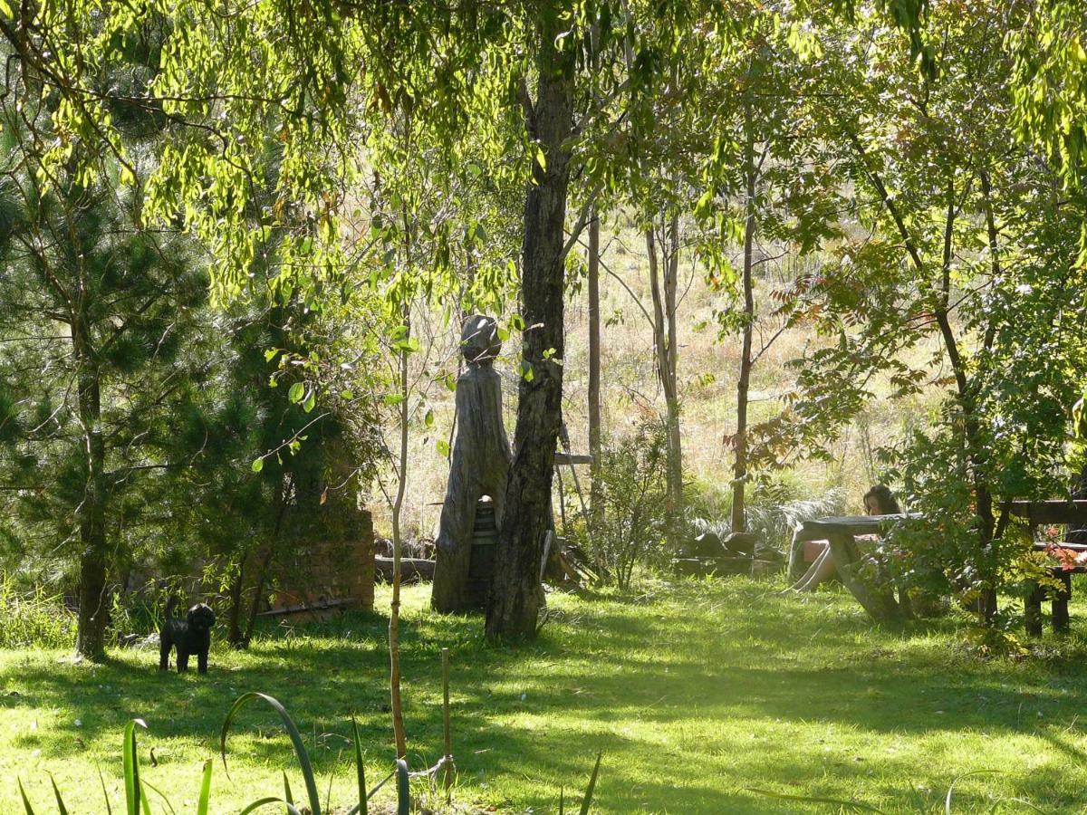 Wildwood Guesthouse Mudgee Kültér fotó
