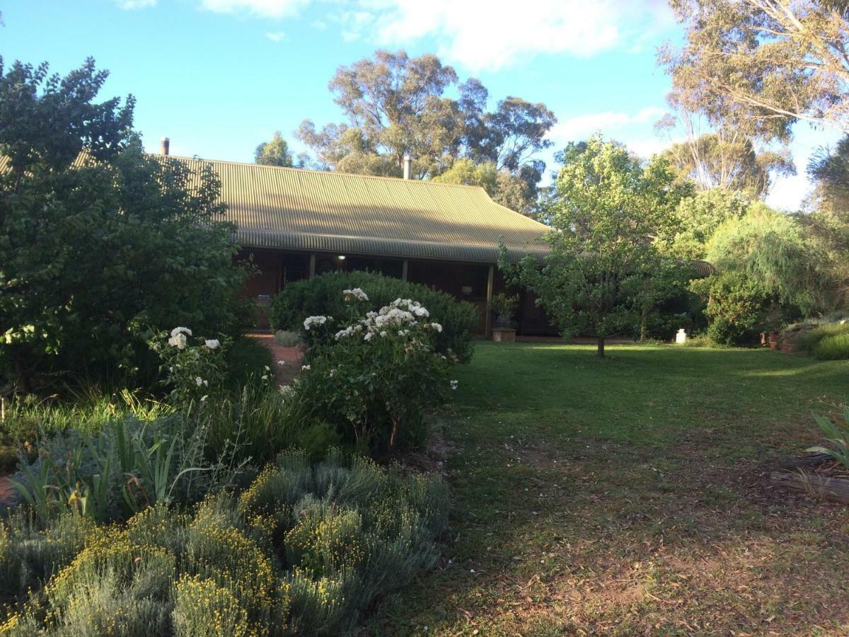 Wildwood Guesthouse Mudgee Kültér fotó