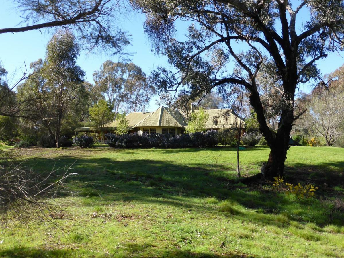 Wildwood Guesthouse Mudgee Kültér fotó