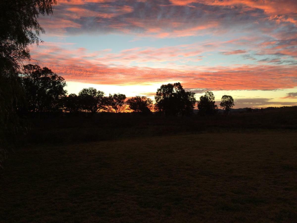 Wildwood Guesthouse Mudgee Kültér fotó